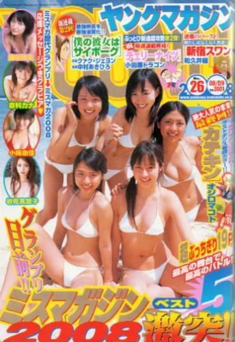 Cover of No. 26, 2008