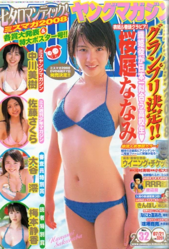 Cover of No. 32, 2008