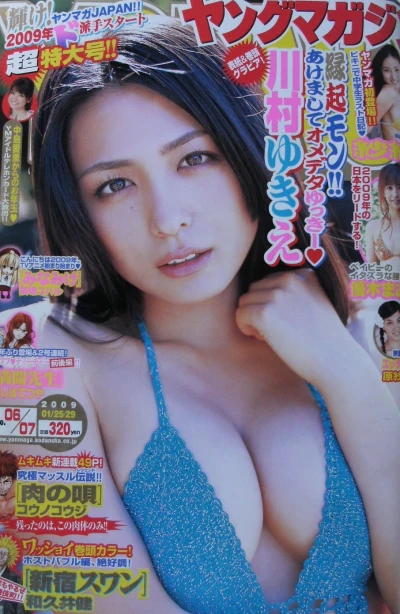 Cover of No. 6-7, 2009