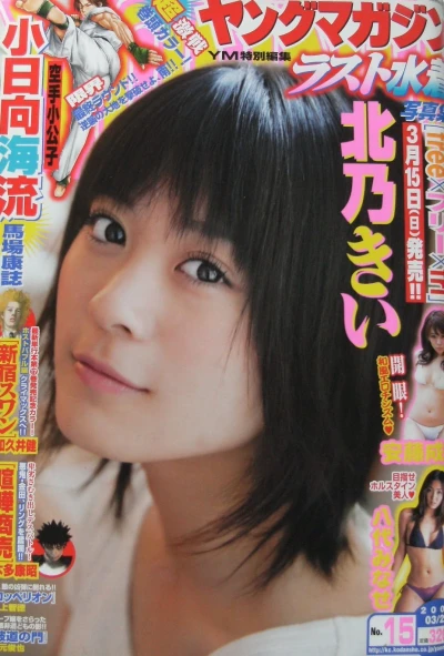 Cover of No. 15, 2009