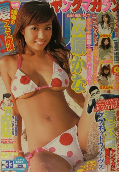 Cover of No. 33, 2009