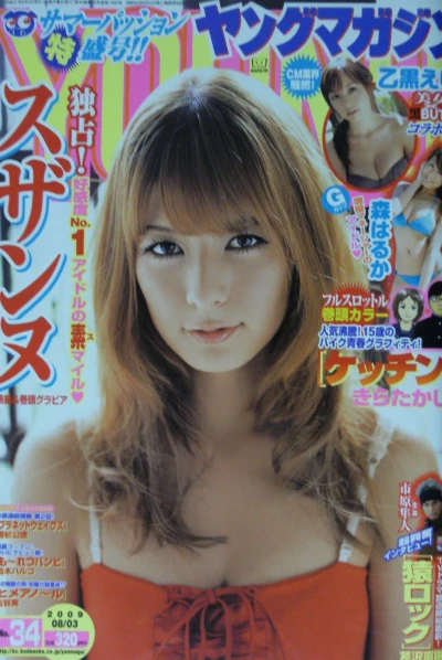 Cover of No. 34, 2009