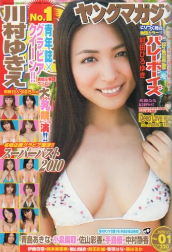 Cover of No. 1, 2010