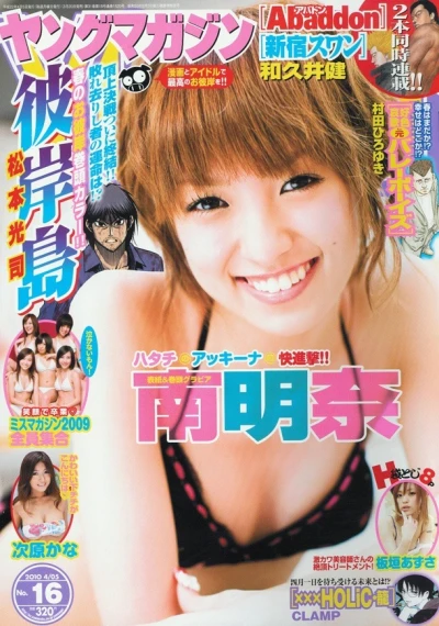 Cover of No. 16, 2010