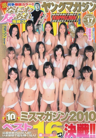 Cover of No. 17, 2010