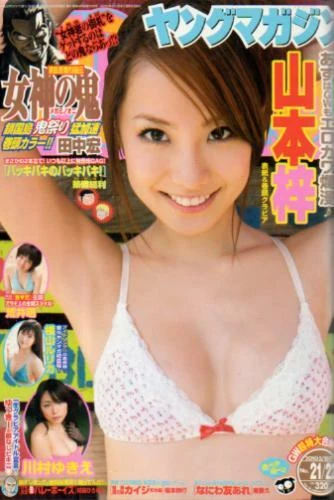 Cover of No. 21-22, 2010