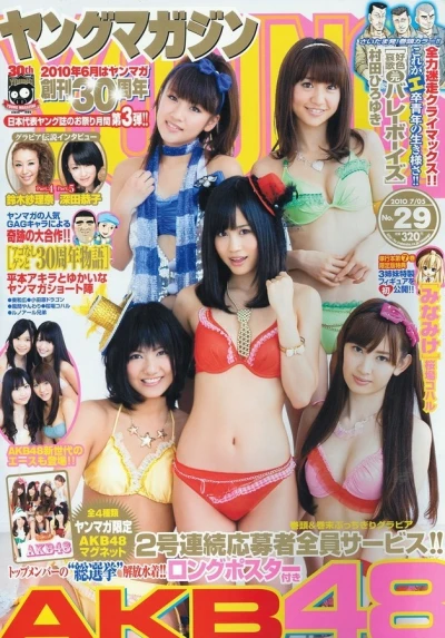 Cover of No. 29, 2010