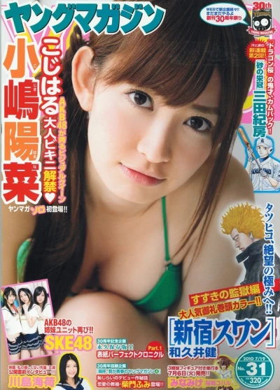 Cover of No. 31, 2010