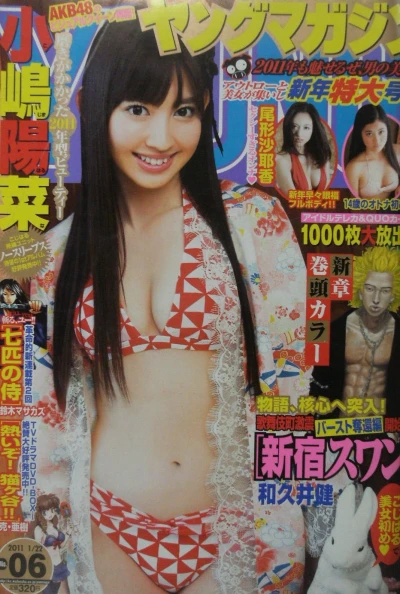 Cover of No. 6, 2011