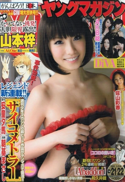 Cover of No. 21-22, 2011