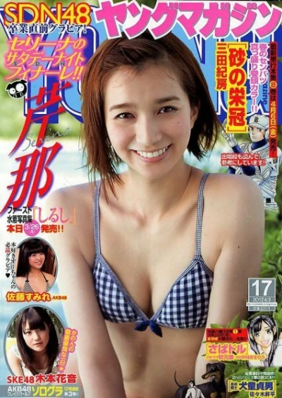 Cover of No. 17, 2012