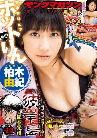 Cover of No. 2-3, 2013