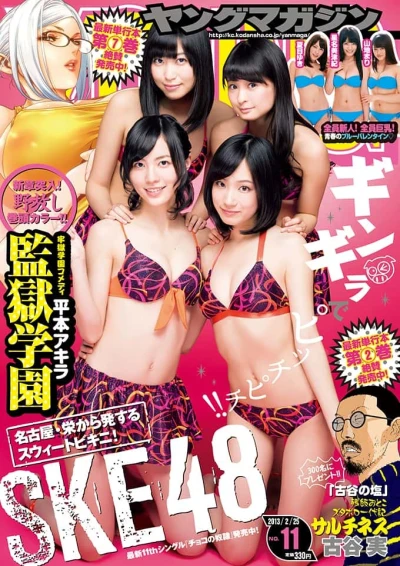 Cover of No. 11, 2013