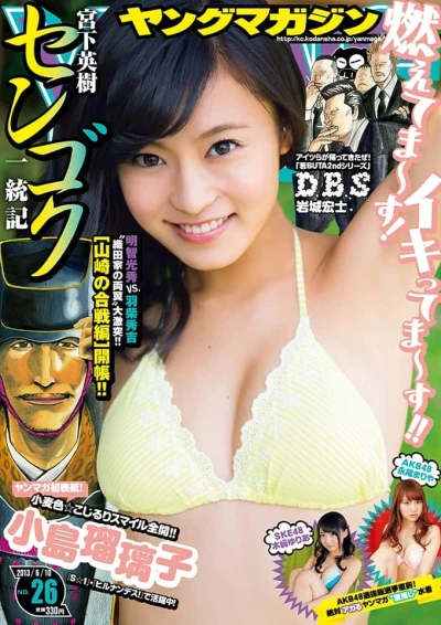 Cover of No. 26, 2013