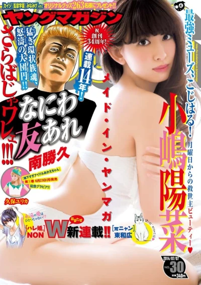 Cover of No. 30, 2014