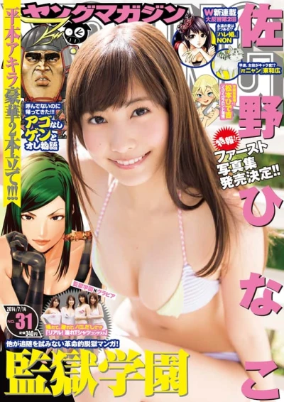 Cover of No. 31, 2014