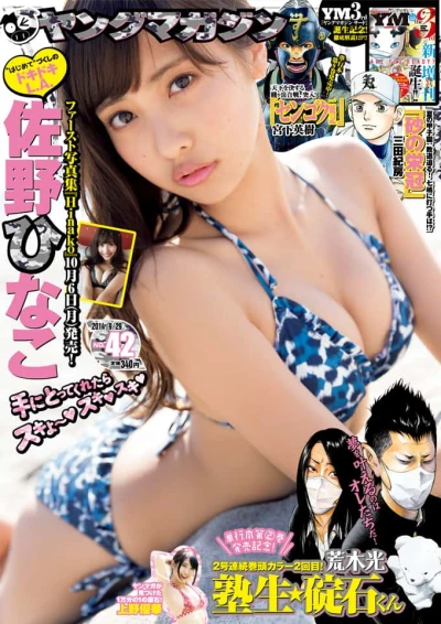 Cover of No. 42, 2014