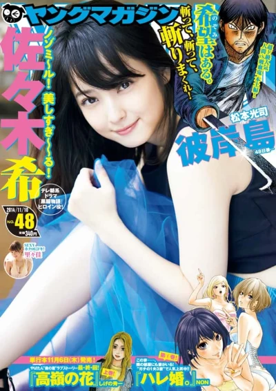 Cover of No. 48, 2014