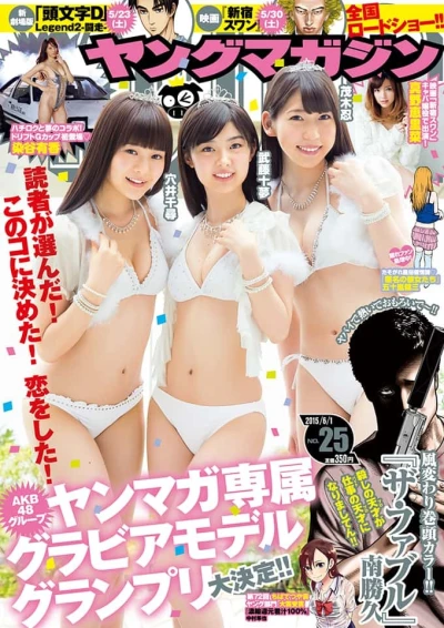 Cover of No. 25, 2015