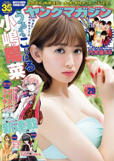 Cover of No. 29, 2015