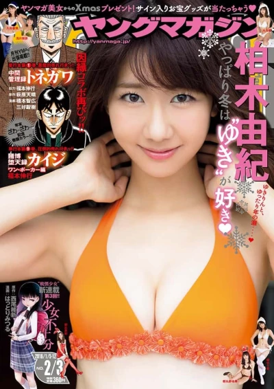 Cover of No. 2-3, 2016