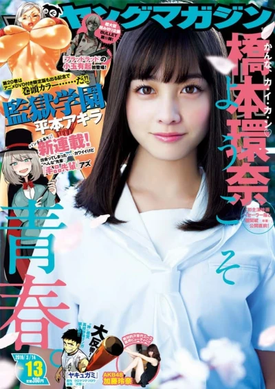 Cover of No. 13, 2016