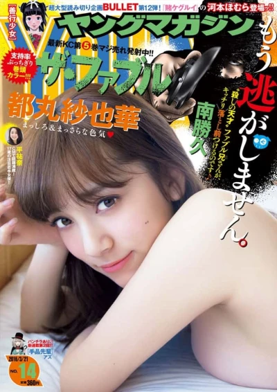 Cover of No. 14, 2016