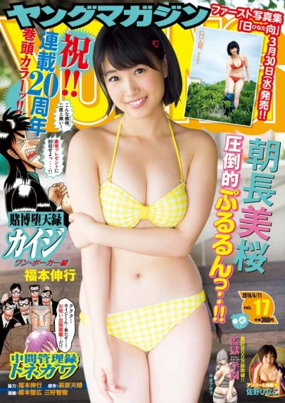 Cover of No. 17, 2016