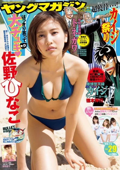 Cover of No. 29, 2016