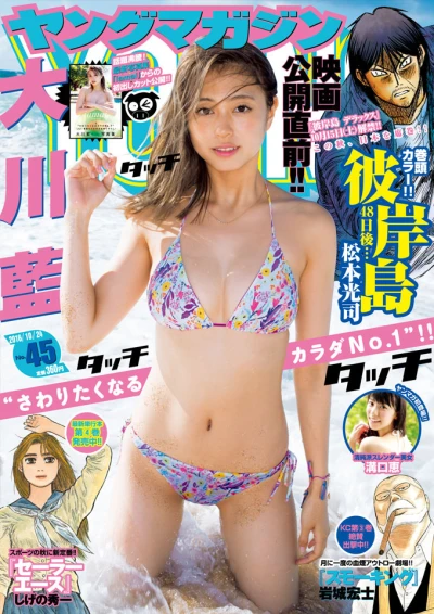 Cover of No. 45, 2016