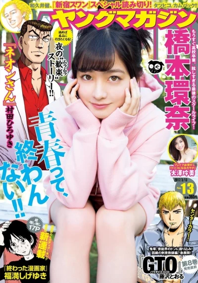Cover of No. 13, 2017