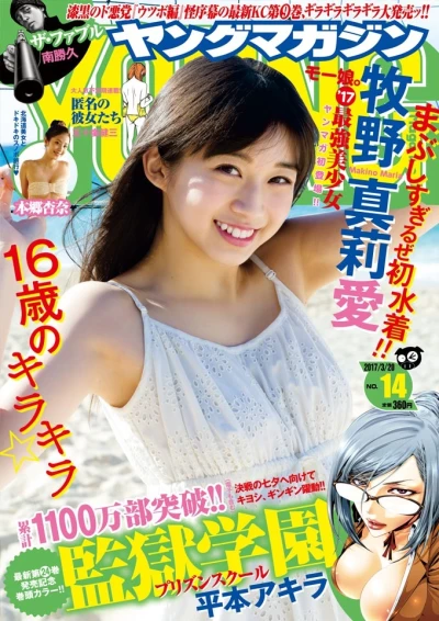 Cover of No. 14, 2017