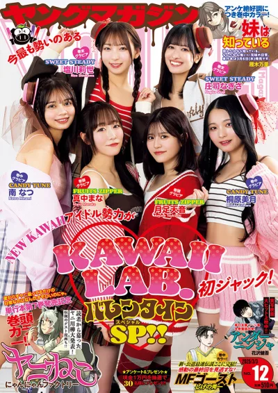 Cover of No 12, 2025