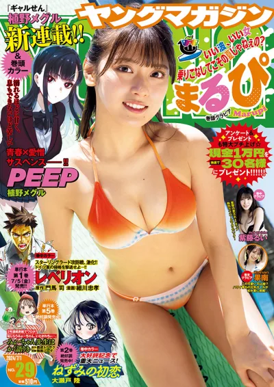 Cover of No. 29, 2024