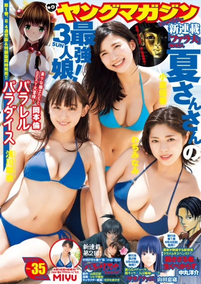 Cover of No. 35, 2017