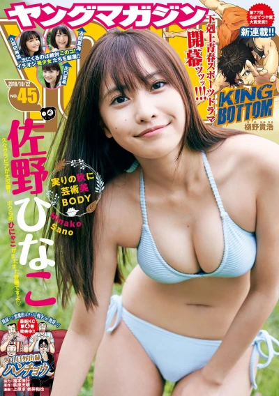 Cover of No. 45, 2018