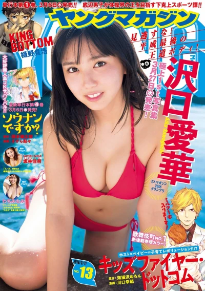 Cover of No. 13, 2019