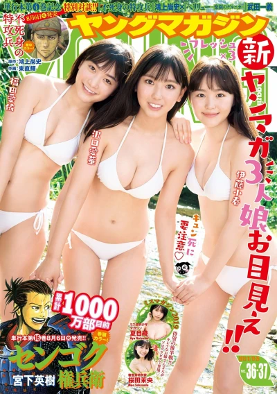 Cover of No. 36-37, 2019