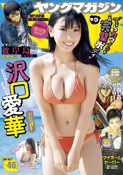 Cover of No. 46, 2019