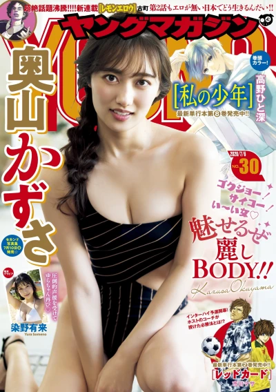 Cover of No. 30, 2020