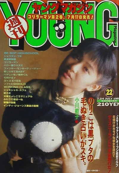 Cover of No. 22, 1989