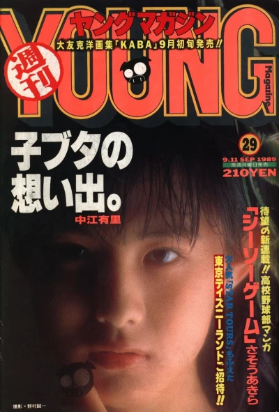 Cover of No. 29, 1989
