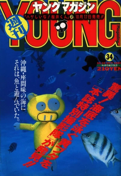 Cover of No. 34, 1989