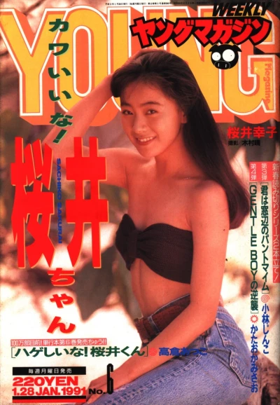 Cover of No. 6, 1991