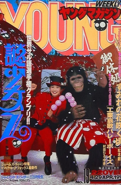 Cover of No. 19, 1991