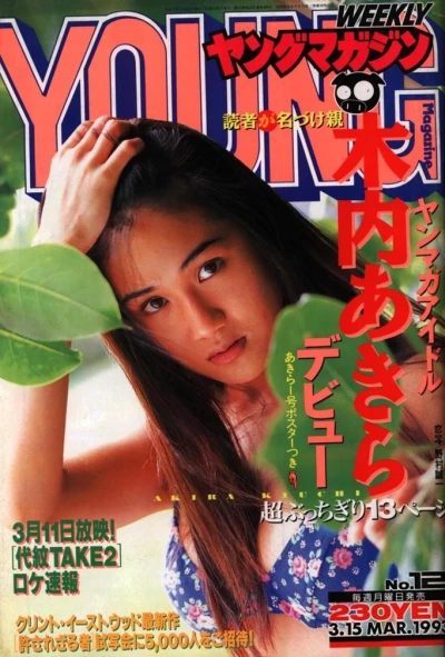 Cover of No. 12, 1993