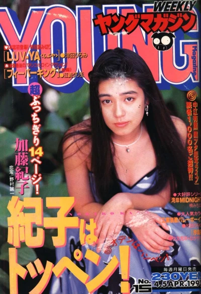 Cover of No. 15, 1993