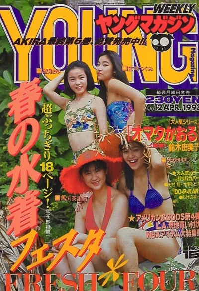 Cover of No. 16, 1993