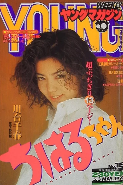 Cover of No. 19, 1993