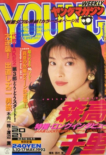 Cover of No. 20-21, 1993